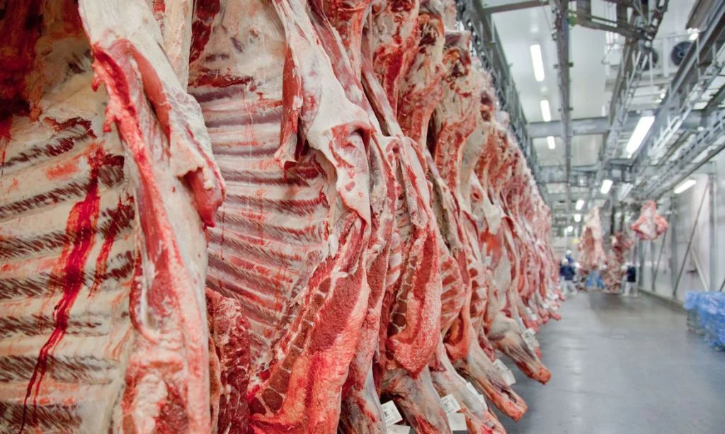 Brasil quebra o recorde de exportação de carne bovina no mundo
