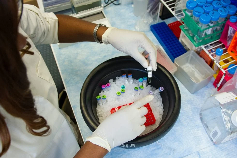 Hospital pretende reprogramar células de defesa para atuar no combate ao câncer