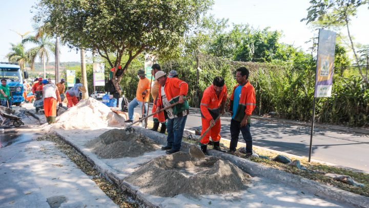 Obras de revitalização são realizadas no canteiro central do conjunto Belvedere