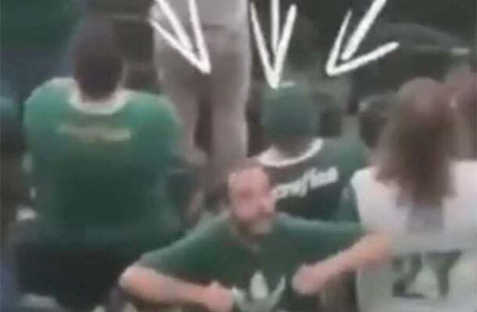 Palmeiras sofre punição por gesto racista de torcedor em jogo da Libertadores