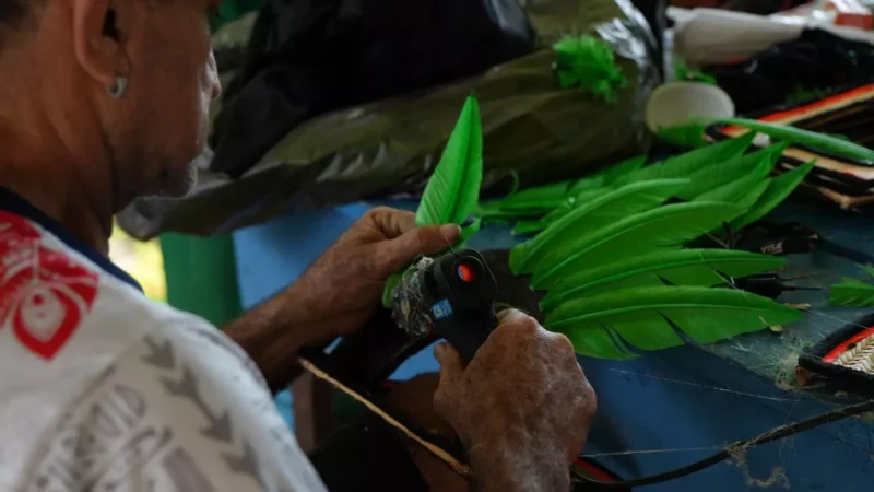 Cirandas de Manacapuru revelam propostas artísticas que misturam tradição e inovação