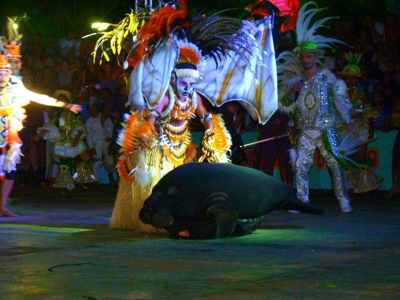 Viva a emoção e conheça a história do Eco-Festival do Peixe-Boi em Novo Airão no AM