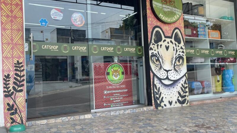 Gato Manauara: A Solução Definitiva para Gateiros de Manaus