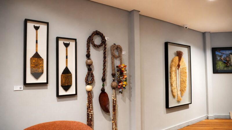 Galeria de arte amazônica é criada dentro de academia em Manaus