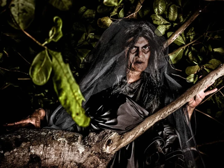 Matinta Perera: a lenda amazônica que transforma assobios em mistério