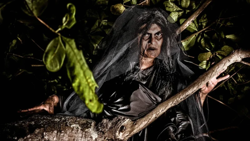 Matinta Perera: a lenda amazônica que transforma assobios em mistério