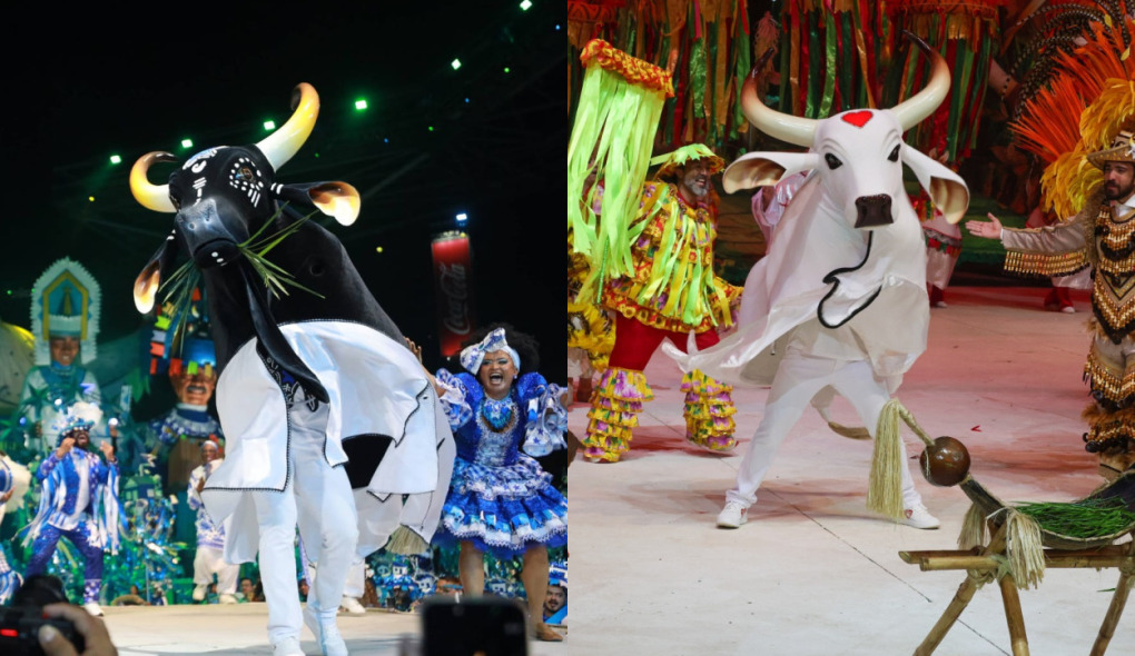 Festival de Parintins chega à última noite com Caprichoso e Garantido