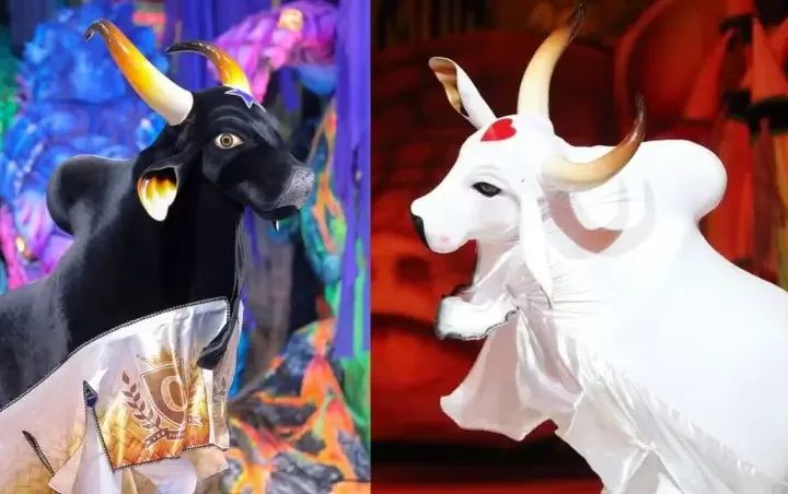 Festival de Parintins: Qual boi é o maior campeão do evento?