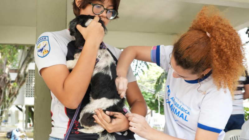 Manaus abre 295 vagas temporárias para a Campanha de Vacinação Antirrábica 2026