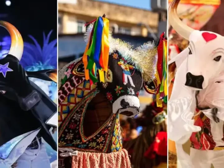 Bumba-meu-Boi e Boi-Bumbá: entenda as diferenças entre duas das maiores festas populares do Brasil