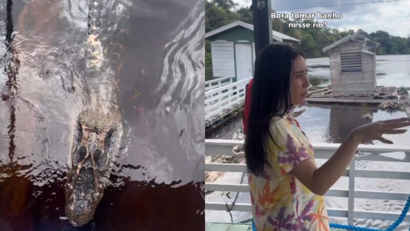 Influenciadora flagra jacaré gigante durante passeio no Rio Negro: ‘bora tomar banho?’