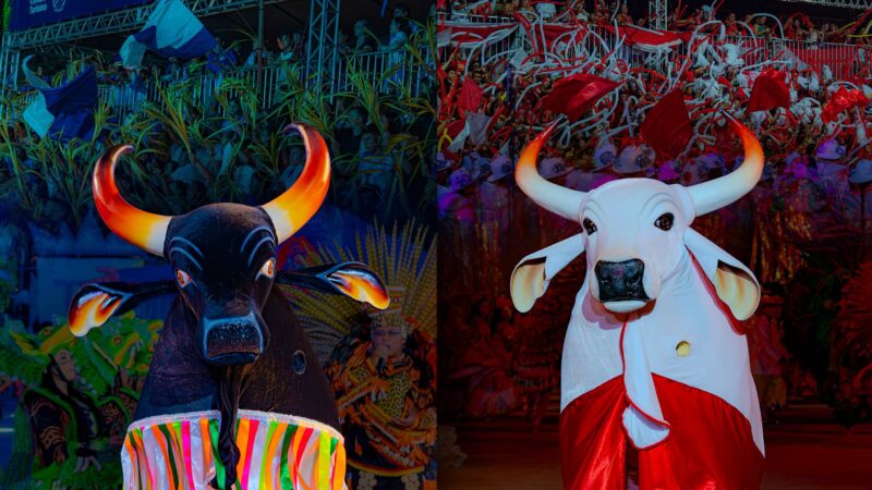 Barreirinha adia Festival dos Touros para outubro após acordo entre bumbás