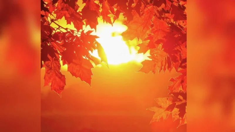 Manaus bate novo recorde de calor em 2026 com 37,3°C