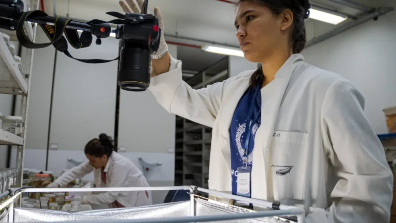 Instituto Mamirauá abre seleção para bolsas de pesquisa em Tefé
