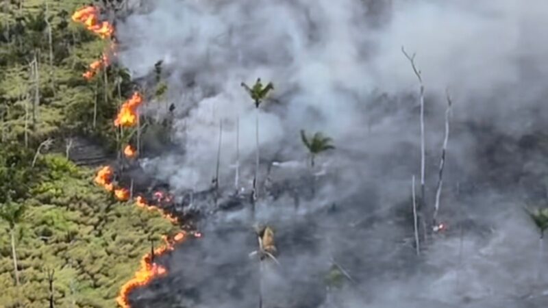 Incêndio de grandes proporções avança em Caapiranga e ameaça sítios; prefeito cobra apoio do Estado