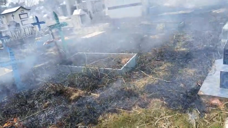 Princípio de incêndio atinge vegetação do Cemitério do Tarumã