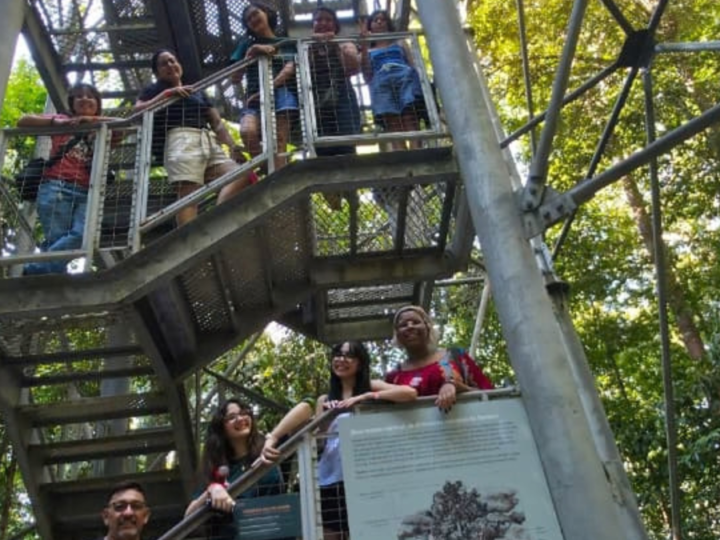 Respira Floresta reúne arte, tecnologia e natureza em instalação no Museu da Amazônia