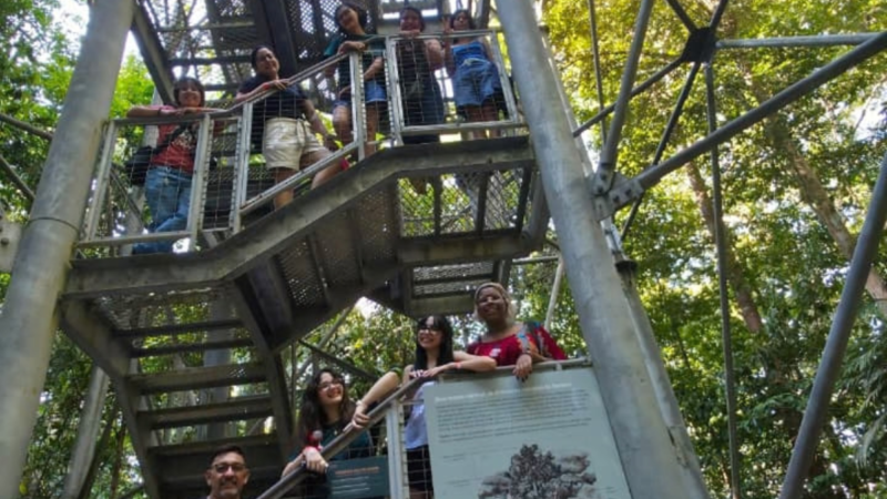 Respira Floresta reúne arte, tecnologia e natureza em instalação no Museu da Amazônia