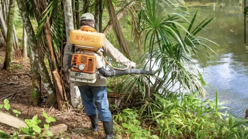 Manaus registra 4,7 mil casos de malária e alerta frequentadores de balneários
