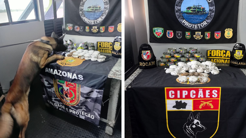 Cão policial encontra droga escondida em latas de atum em barco no AM