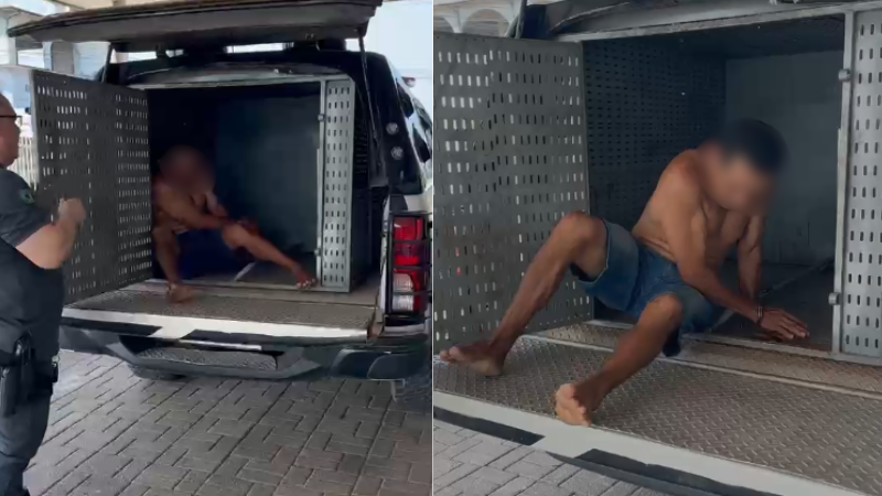 Homem é preso após espancar cachorro: “O bicho destruiu minhas coisas”; veja vídeo