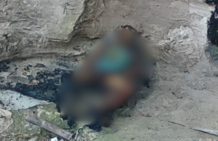 Corpo carbonizado é encontrado na Torquato Tapajós em Manaus