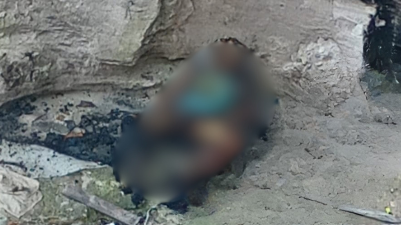 Corpo carbonizado é encontrado na Torquato Tapajós em Manaus