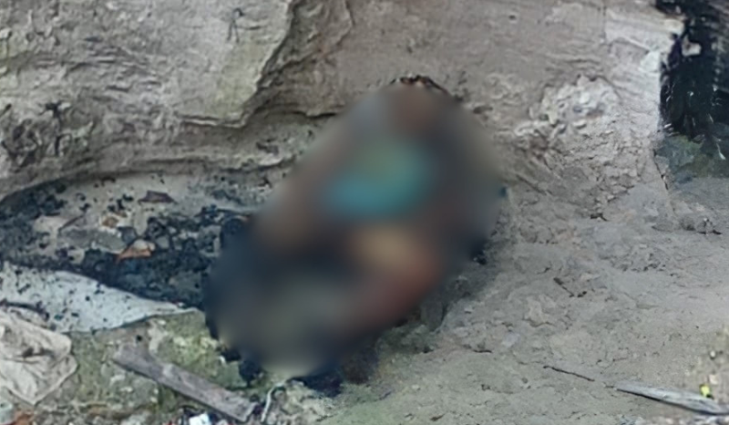 Corpo carbonizado é encontrado na Torquato Tapajós em Manaus