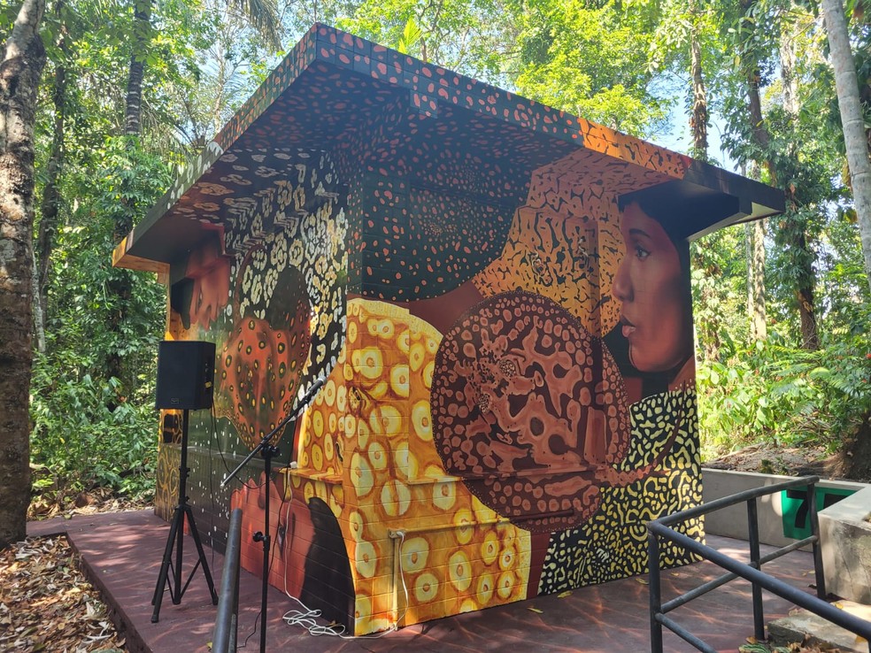 Casa d’Arraia é inaugurada em Manaus; projeto busca ‘desvilanizar’ arraias por meio do conhecimento