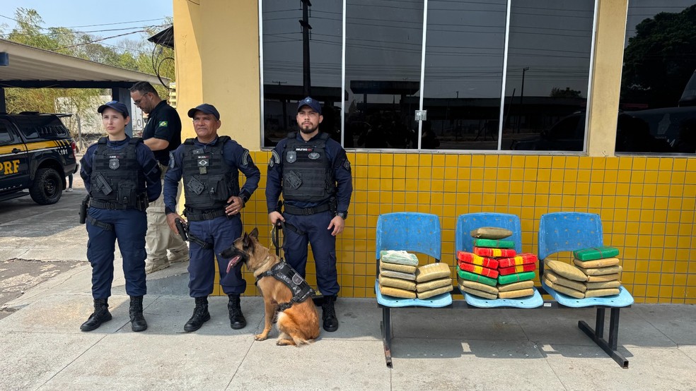 Cão farejador encontra 30 kg de drogas em ônibus na Zona Sul de Manaus